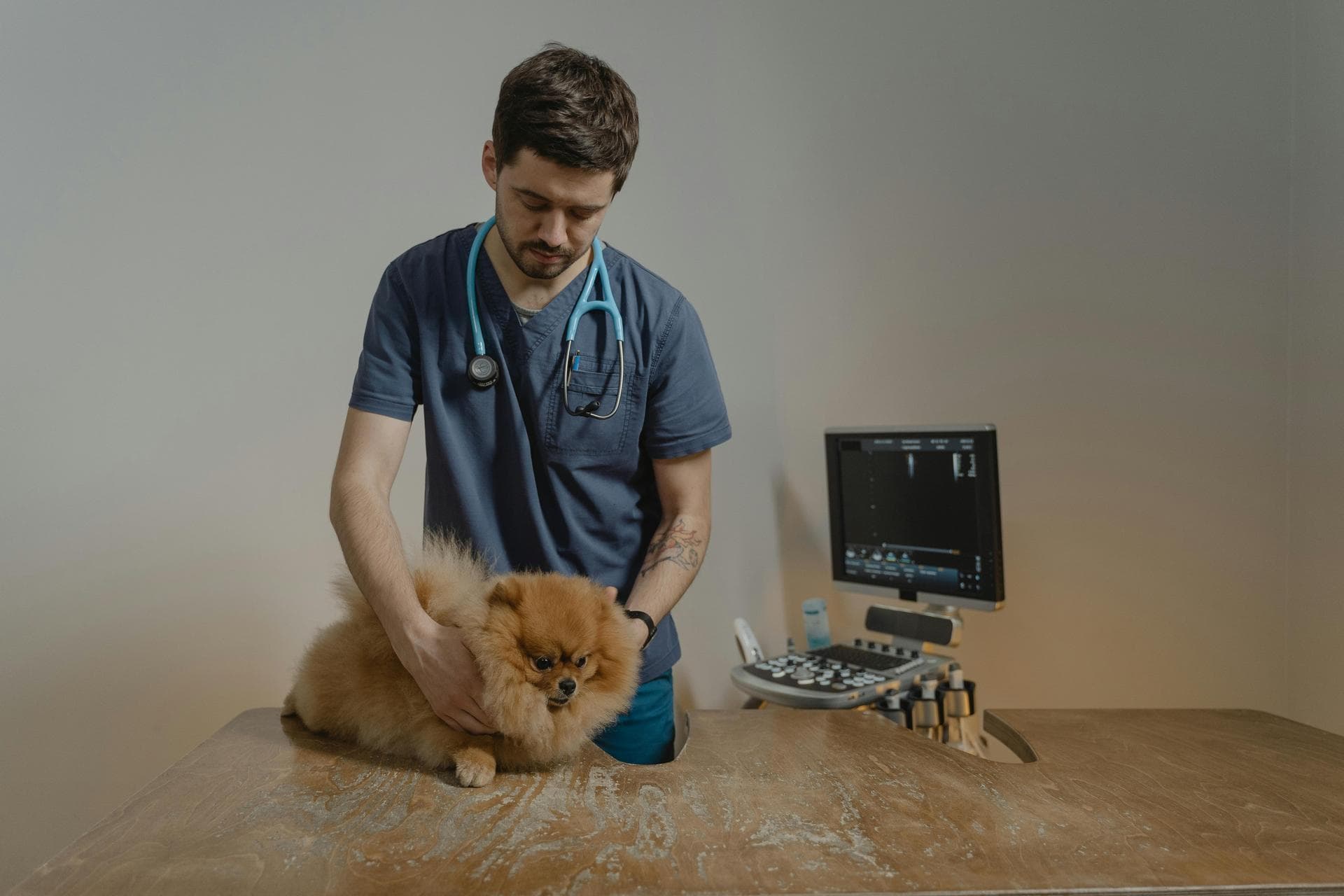 Best Vets in Norwich